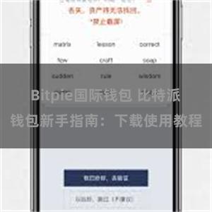 Bitpie国际钱包 比特派钱包新手指南：下载使用教程