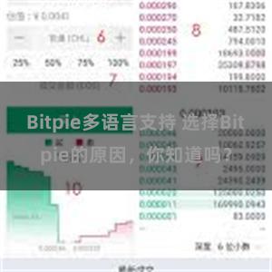 Bitpie多语言支持 选择Bitpie的原因，你知道吗？