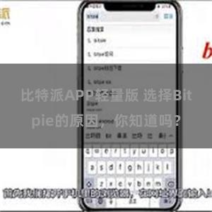 比特派APP轻量版 选择Bitpie的原因，你知道吗？