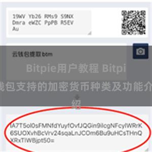 Bitpie用户教程 Bitpie钱包支持的加密货币种类及功能介绍