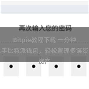 Bitpie教程下载 一分钟上手比特派钱包，轻松管理多链资产