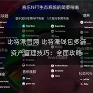 比特派官网 比特派钱包多链资产管理技巧：全面攻略