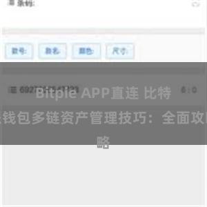 Bitpie APP直连 比特派钱包多链资产管理技巧：全面攻略