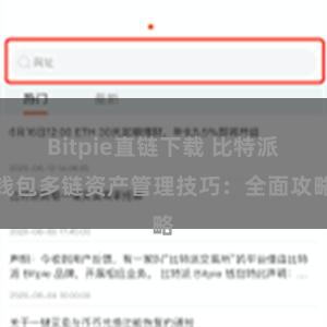 Bitpie直链下载 比特派钱包多链资产管理技巧：全面攻略