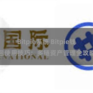 Bitpie系统 Bitpie钱包使用技巧：多链资产管理全攻略