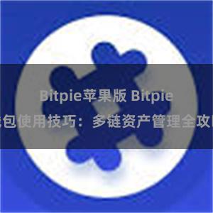 Bitpie苹果版 Bitpie钱包使用技巧：多链资产管理全攻略