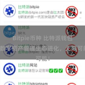 Bitpie币种 比特派钱包：数字资产管理生态进化，无限可能！