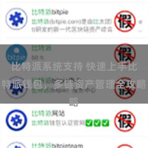 比特派系统支持 快速上手比特派钱包，多链资产管理全攻略