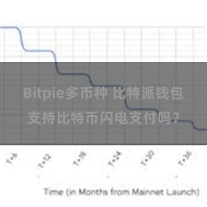 Bitpie多币种 比特派钱包支持比特币闪电支付吗？