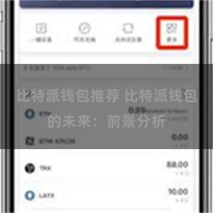 比特派钱包推荐 比特派钱包的未来：前景分析