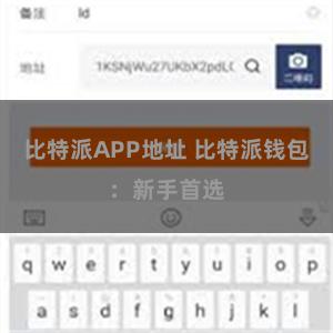 比特派APP地址 比特派钱包：新手首选