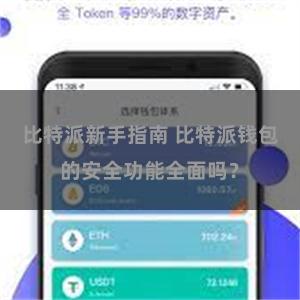 比特派新手指南 比特派钱包的安全功能全面吗？