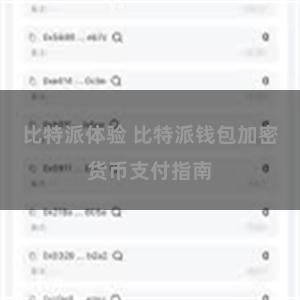 比特派体验 比特派钱包加密货币支付指南