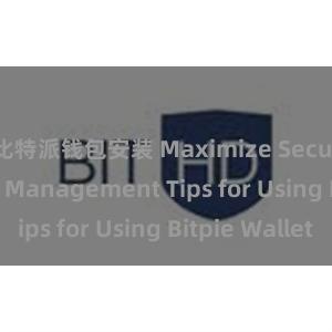 比特派钱包安装 Maximize Security: Risk Management Tips for Using Bitpie Wallet