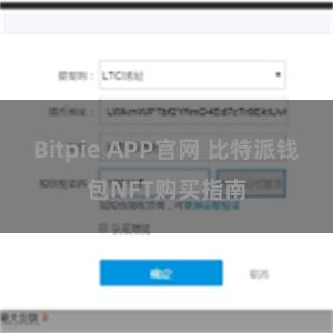 Bitpie APP官网 比特派钱包NFT购买指南