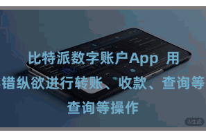 比特派数字账户App 用户不错纵欲进行转账、收款、查询等操作