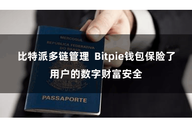 比特派多链管理 Bitpie钱包保险了用户的数字财富安全