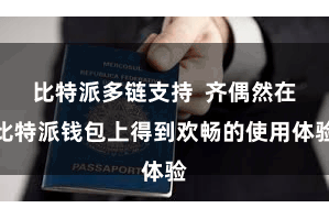 比特派多链支持  齐偶然在比特派钱包上得到欢畅的使用体验