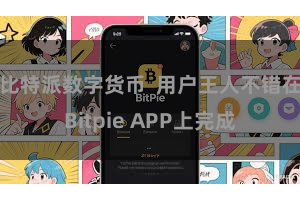 比特派数字货币  用户王人不错在Bitpie APP上完成
