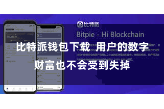 比特派钱包下载  用户的数字财富也不会受到失掉