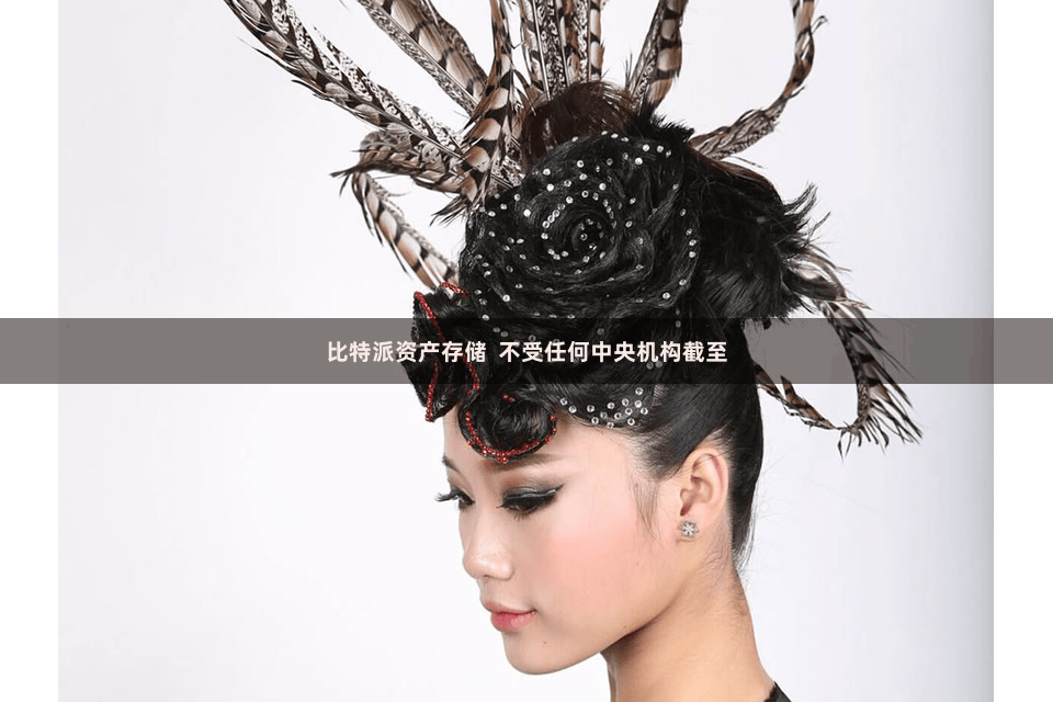 比特派资产存储  不受任何中央机构截至
