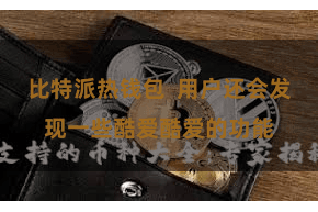 比特派热钱包  用户还会发现一些酷爱酷爱的功能
