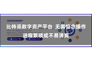 比特派数字资产平台  无需惦念操作进程繁琐或不易清爽